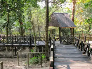 Lao Zoo