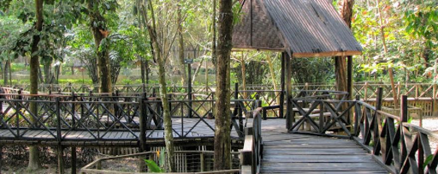 Lao Zoo