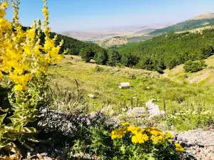 Kestel Konya