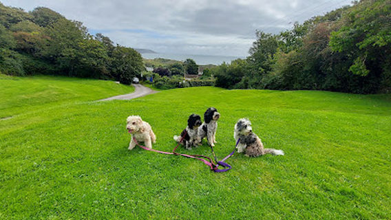 Newpark Holiday Park