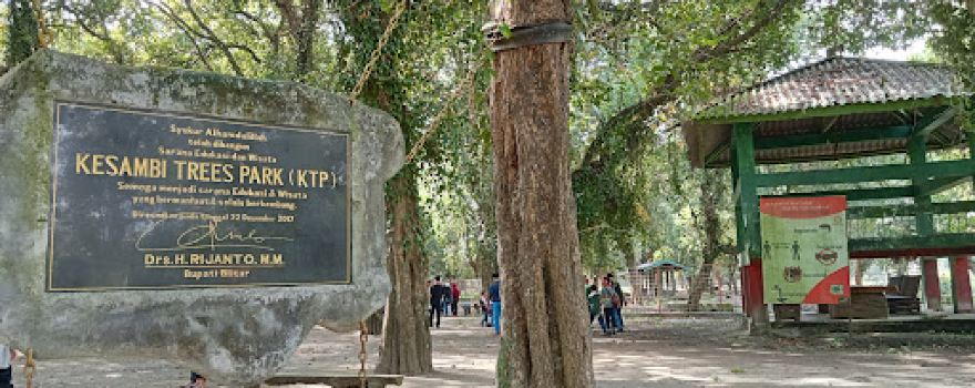 Kesambi Tree's Park