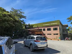 Treetopia Park Monteverde