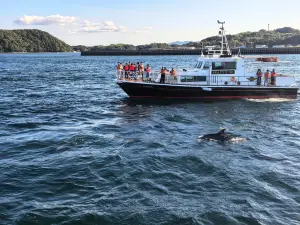 Seacruise