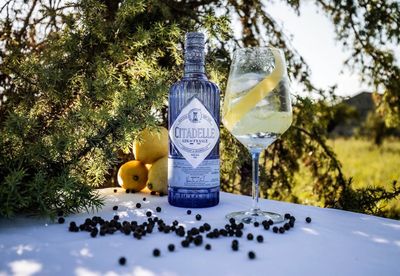 Distillerie Citadelle Gin