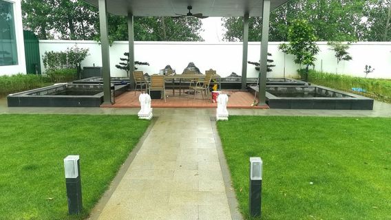 chen xin sheng tai jing guan