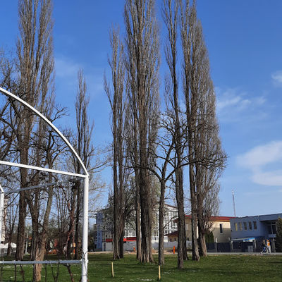Lidia Park