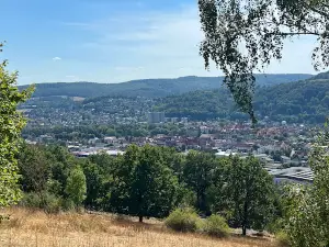 Waldkugelbahn