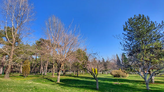 Denizli Metropolitan Municipality Çamlık Park