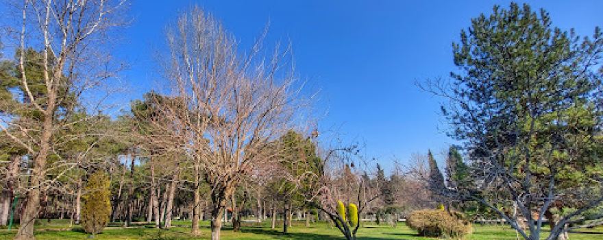 Denizli Metropolitan Municipality Çamlık Park