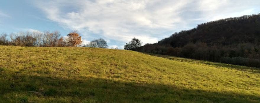 Bosco di Monte Matteo