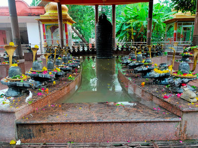 Shiv Puri Dham