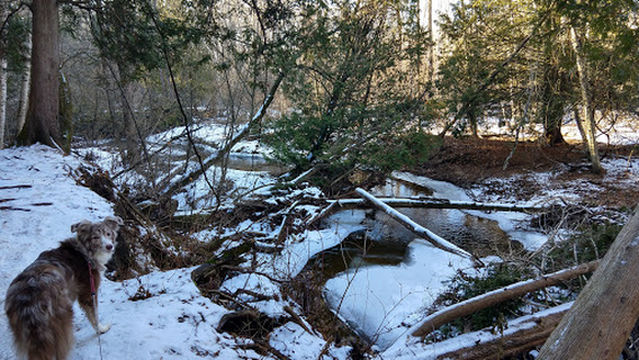 Christa McAuliffe Park