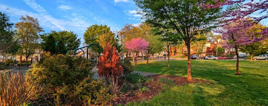 Manor Park