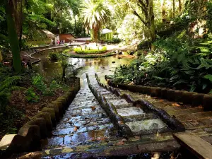 "Los Tecajetes" Park