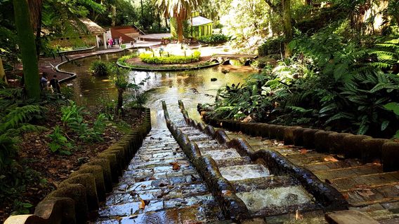 "Los Tecajetes" Park