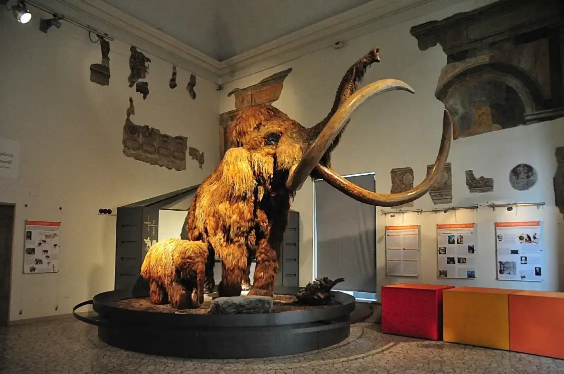 Hotel dekat Museo di Scienze Naturali e. Caffi