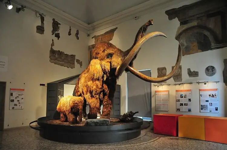 Hotels near Civic Museum of Natural Sciences in Bergamo