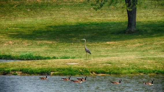 Jellystone Park™ Clay's Resort