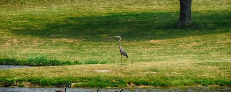 Clay's Resort Jellystone Park in North Lawrence, OH