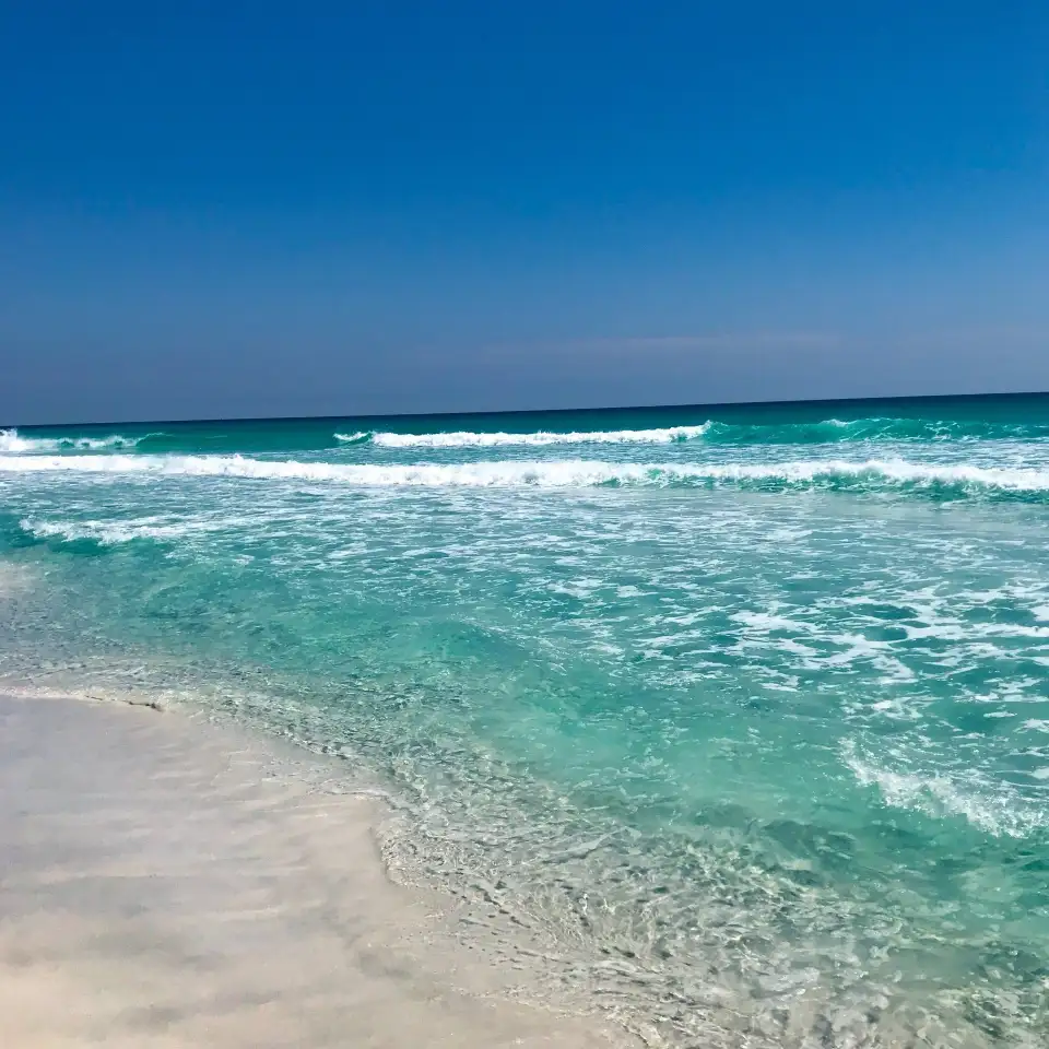 5_Henderson Beach State Park