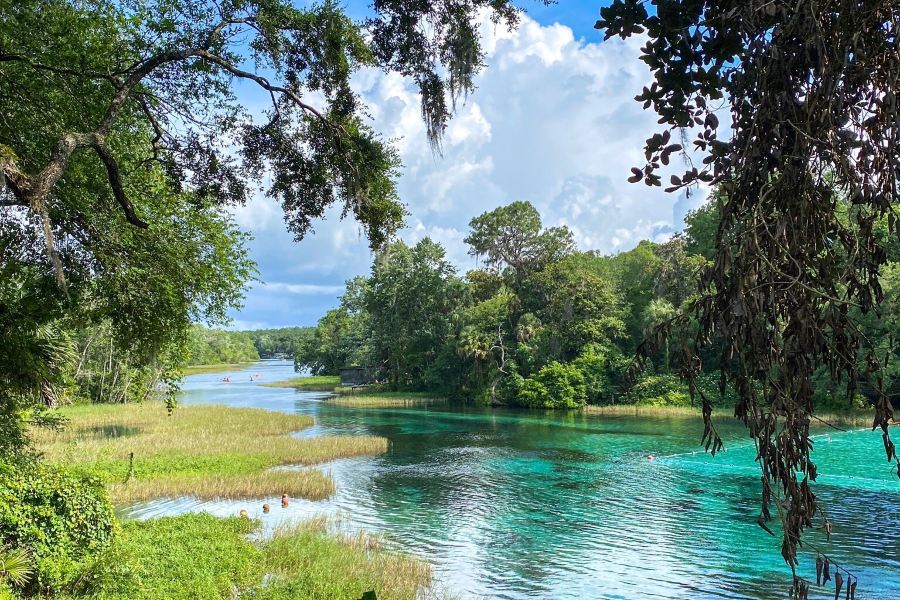 Rainbow Springs State Park