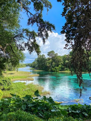 Rainbow Springs State Park