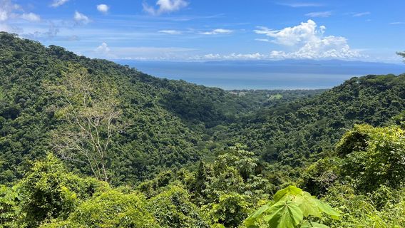Carara National Park