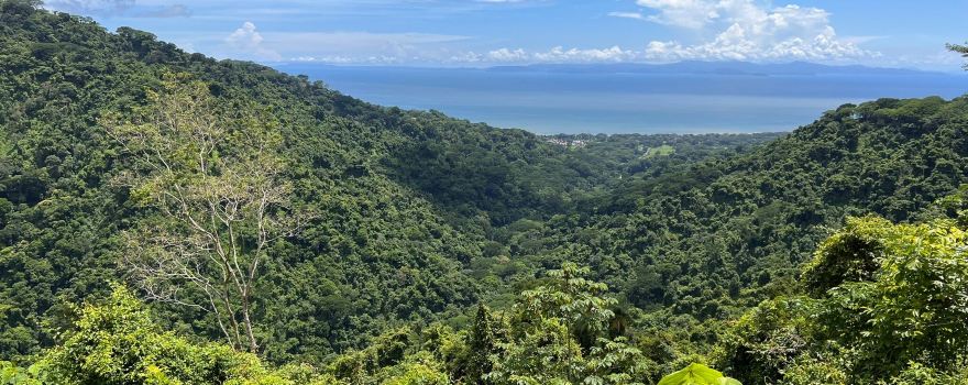 Carara National Park