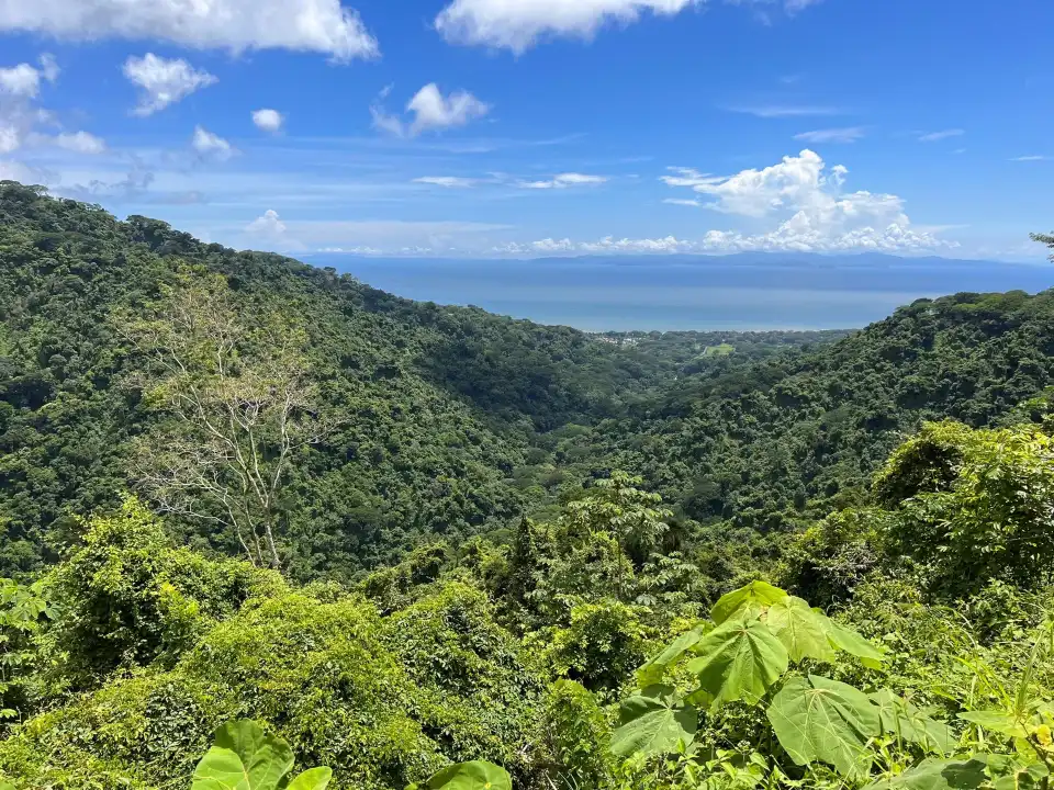 4_Carara National Park
