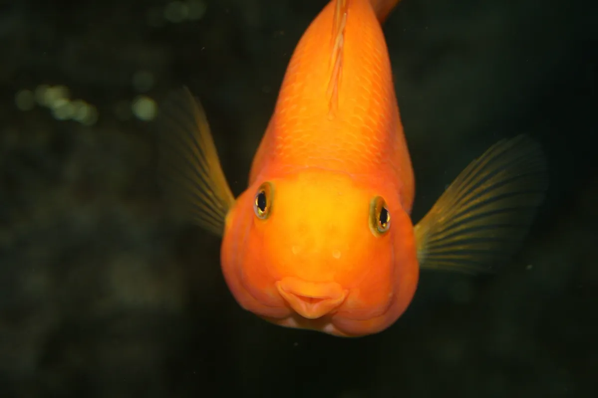 Lanzarote Aquarium