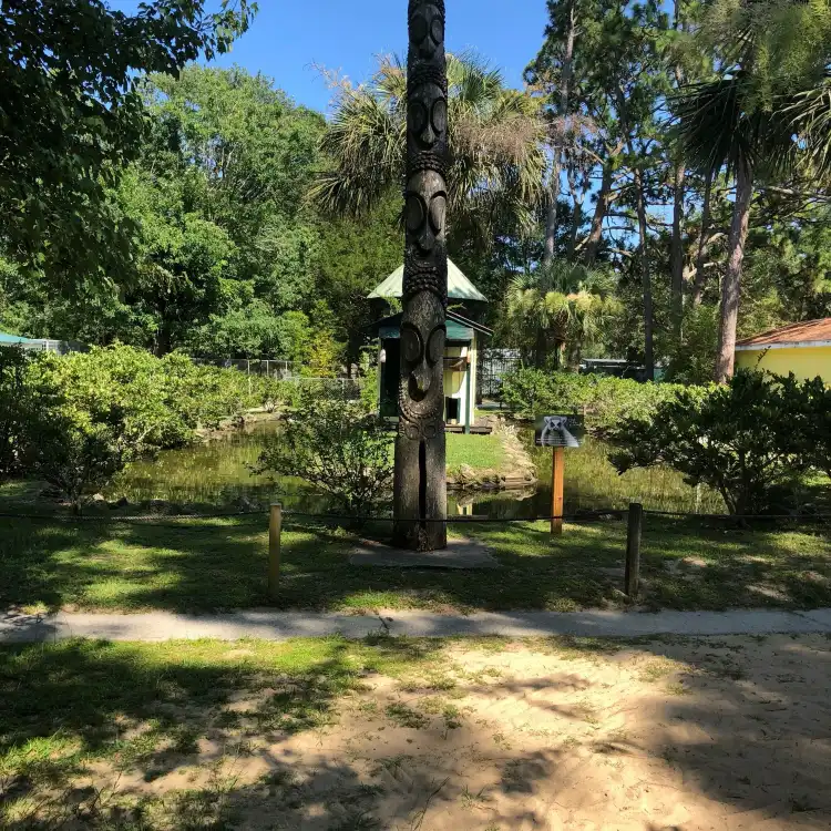 Hotels in Myrtle Grove