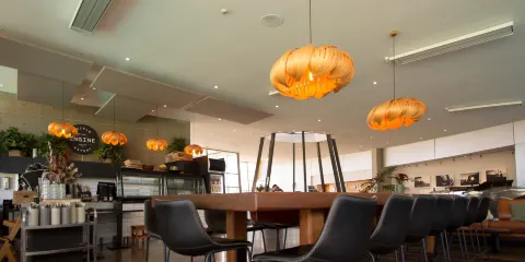 世界穿著藝術及古董車博物館