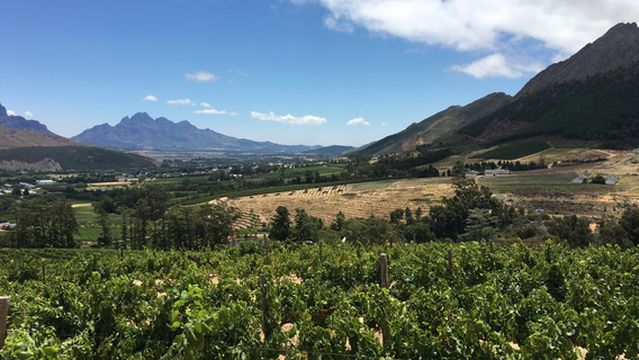 Dieu Donne Vineyards & Views