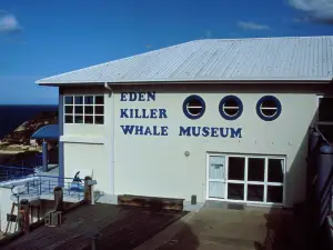 Eden Killer Whale Museum