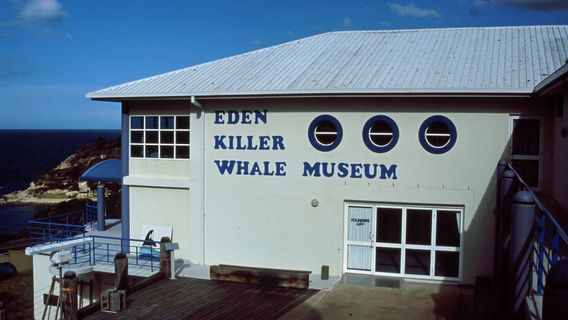 Eden Killer Whale Museum