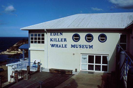 Eden Killer Whale Museum