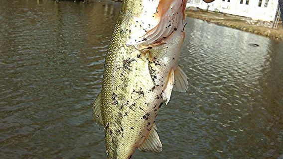 Goodwin Park Golf Course