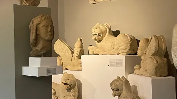 Todo tipo de intérpretes, guías, coches de alquiler, fotógrafos, acompañantes de negocios, acompañantes médicos, guías de viaje y servicios de personalización en todo Chipre.