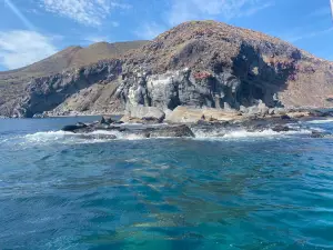 Dolphin Dive & Vive Loreto Tours