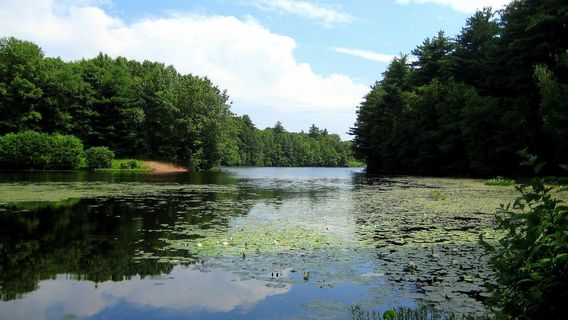 West Rock Ridge State Park