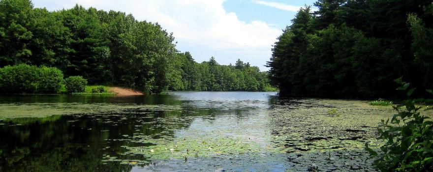 West Rock Ridge State Park
