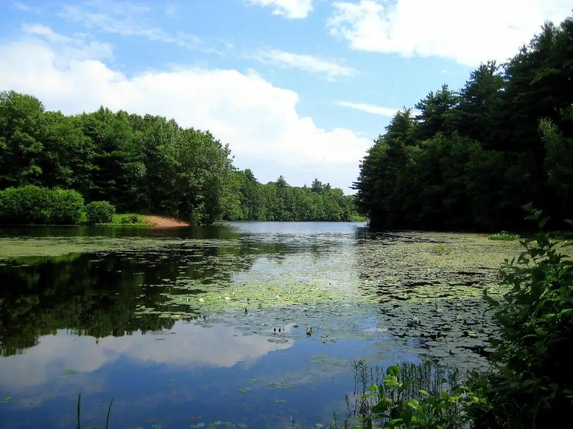 Hotels near West Rock Ridge State Park