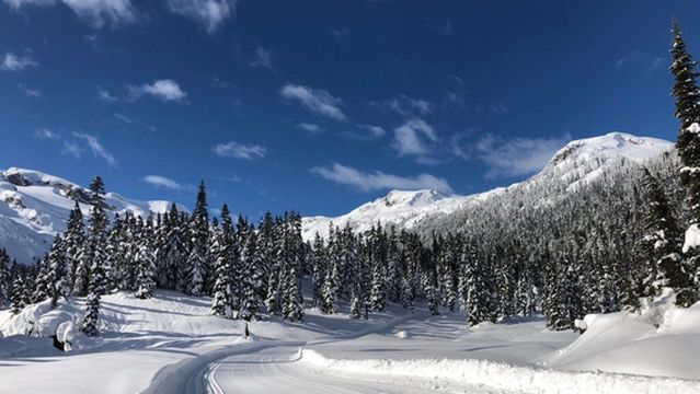 The Callaghan's Base at Alexander Falls