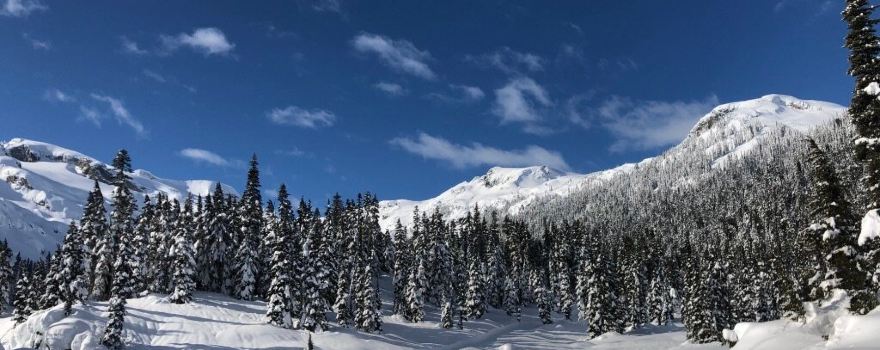 Squamish-Lillooet D