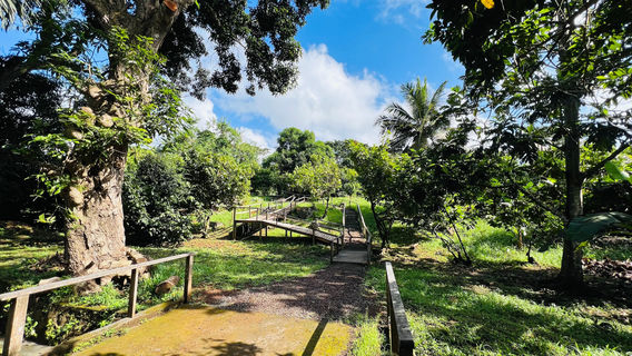 Laura Herb & Spice Garden