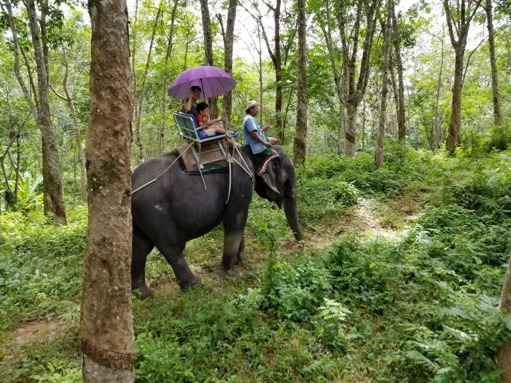 1_Amazing Bukit Safari