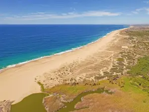 Tortugueros Las Playitas
