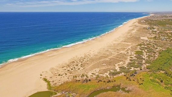 Tortugueros Las Playitas