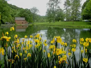 WVU Jackson's Mill