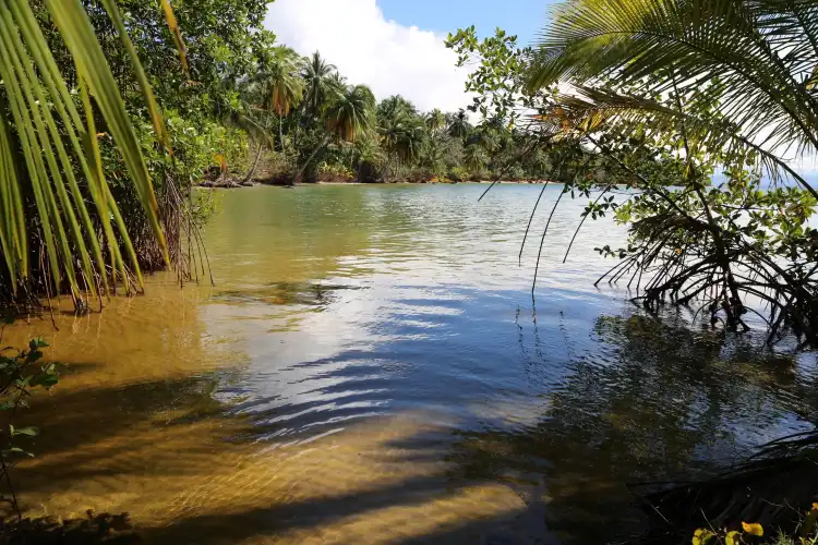 Hotels near Boca del Drago